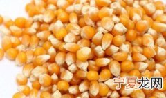 玉米钓鱼绝招 玉米钓鱼绝招有哪些