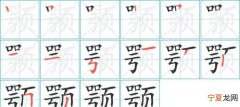 颌怎么读，秀颌龙第二个字怎么读？