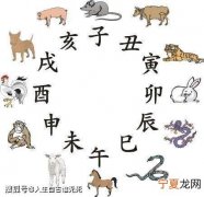 12生肖简单描述 十二生肖怎么描述
