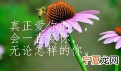 微信圈人生四十岁感言 四十岁的感言朋友圈