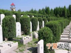 公墓放12生肖 坟地埋十二生肖