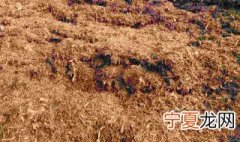 秸秆怎么处理能发酵 秸秆如何发酵方法