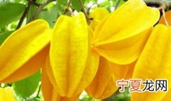 杨桃的味道是什么味 杨桃的味道介绍