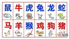老外嘲笑12生肖 外国人猜生肖