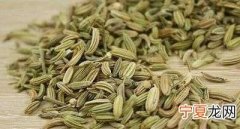 小茴香功效与作用，小茴香的功效是什么？