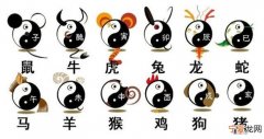 12生肖有食物 12生肖食物与图片的配对教案