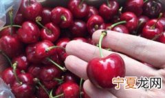 车厘子怎么洗才最干净 洗车厘子的方法