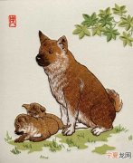 12生肖真命天子 十二生肖哪个是真命天子
