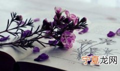 男孩好听的小名大全四个字 男孩好听的小名大全