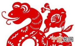 12生肖排力 12生肖的排数
