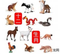 12生肖真实模板 十二生肖图真人
