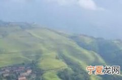 蛙儿子什么梗的简单介绍