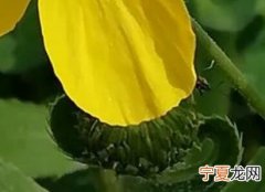 al什么意思 omega什么意思