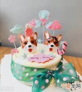 澄海宠物烘焙地址在哪里 澄海宠物烘焙地址在哪里呀