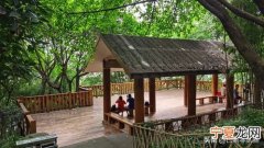 亳州甜心烘焙地址在哪里 大龙山龙法寺