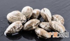 蛤蜊怎么保存到第二天 蛤蜊保存到第二天的方法