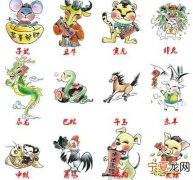 12生肖墙面图 十二生肖墙贴