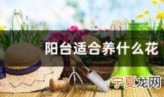 广东阳台适合种什么花 适合在阳台种的花介绍