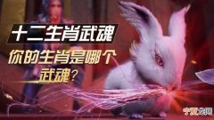 12生肖定武魂 十二生武魂