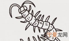 房间有蜈蚣怎么防治 如何防治蜈蚣
