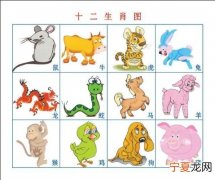 风吹大地12生肖 大风吹代表什么生肖