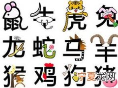12生肖歌手舞蹈 十二生肖儿歌舞蹈视频十二生肖歌歌词