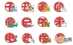12生肖英语操 十二生肖英语微课