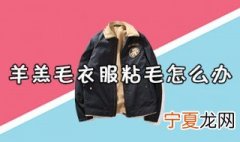 羊羔绒衣服沾毛毛怎么办 羊羔毛衣服粘毛怎么办