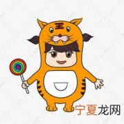 12生肖壁纸愤怒 十二生肖壁纸 炫酷