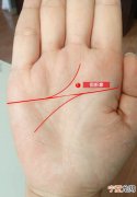 手相看12生肖 手掌看生肖