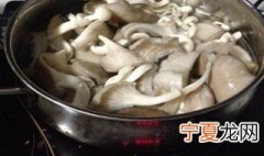 蘑菇要不要焯水 蘑菇要焯水吗