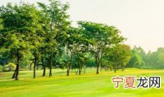 乡下和郊区有什么区别 郊区和乡下的区别