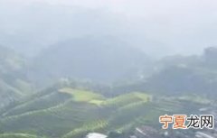 联名是什么意思 高中联名是什么意思