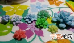 如何做多肉粘土 多肉粘土要怎么做好看