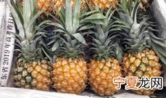徐闻菠萝几月成熟 徐闻菠萝成熟时间