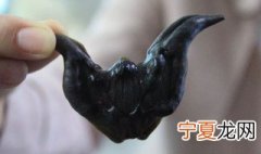 菱角的根是长在哪里的 菱角介绍