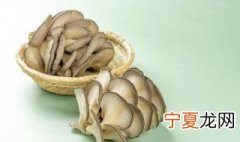 在家蘑菇种植方法 在家怎么种蘑菇