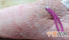 怎么将猪皮毛处理最干净 怎么把猪皮上的毛处理干净
