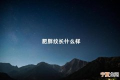 肥胖纹长什么样 肥胖纹的变化过程图片