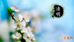 2024年清明节高速公路免费吗