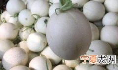 玉菇瓜怎么判断成熟 玉菇瓜判断成熟的方法