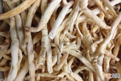 沙参的功效与作用及食用方法