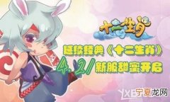 萝莉12生肖