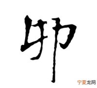 卯怎么读，卯这个字怎么读？