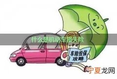 什么叫机动车损失保险 什么叫机动车损失保险必须买的