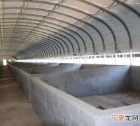 林地建养殖场违法，林地可以建养猪大棚