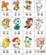 12生肖脚板图片 十二生肖的脚图片大全大图