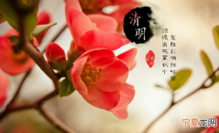 2024年清明节是农历几月几号