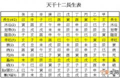 12生肖长生表 十二生肖长生帝旺表