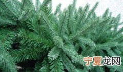 什么叫松树纱松树纱怎么织 什么叫松树纱松树纱如何织